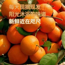 巫山纽荷尔