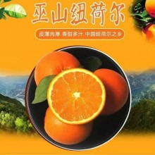 巫山纽荷尔